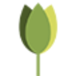 Branch Logo