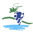Branch Logo