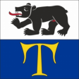 Branch Logo