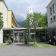 Branch Logo