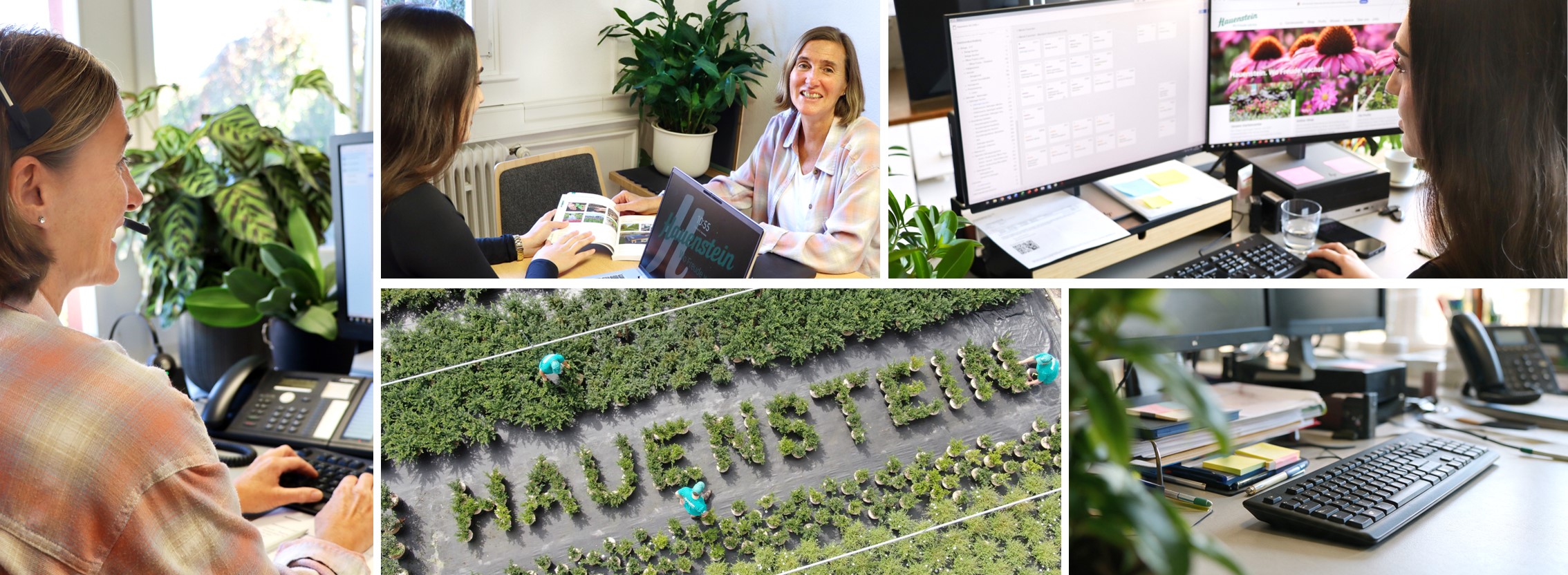 job advertisement image