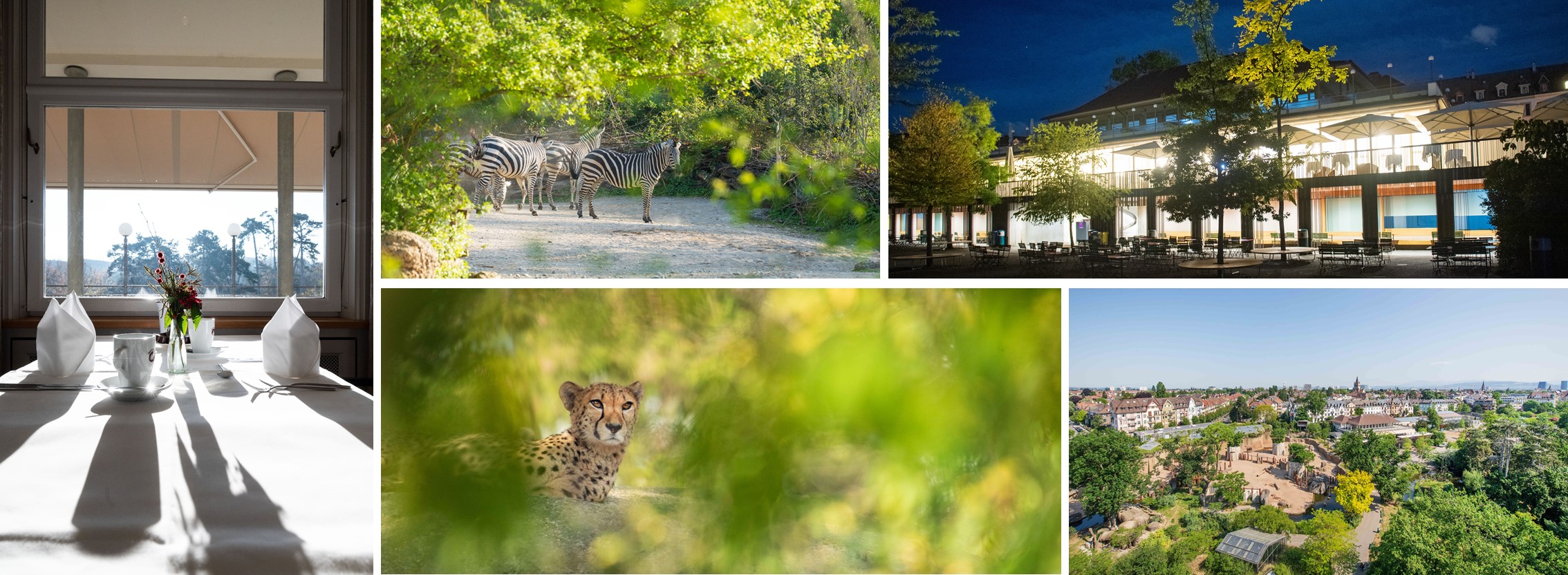 job advertisement image