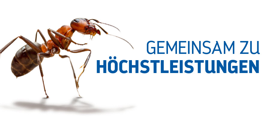 job advertisement image