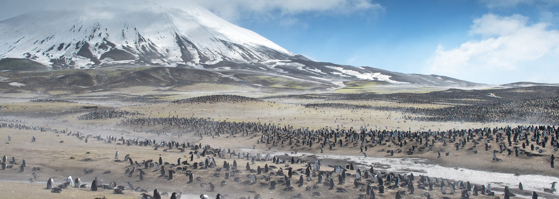 job advertisement image