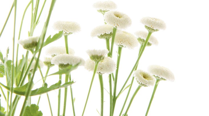 job advertisement image