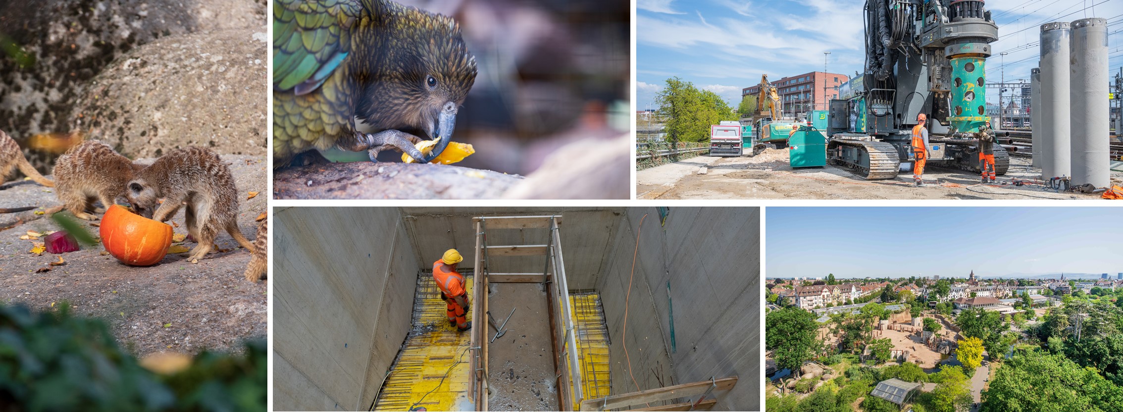 job advertisement image