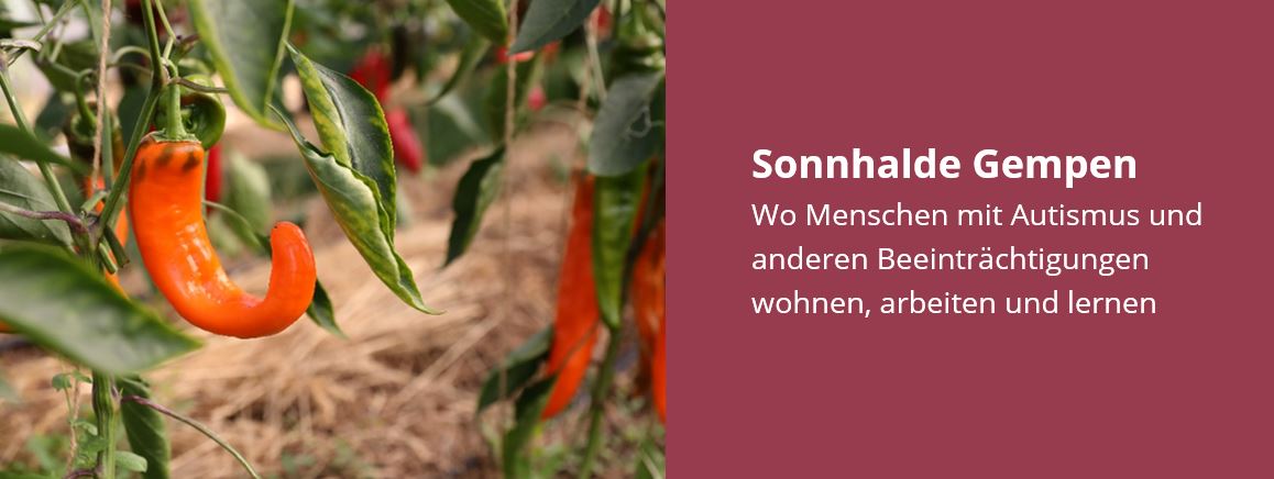 job advertisement image