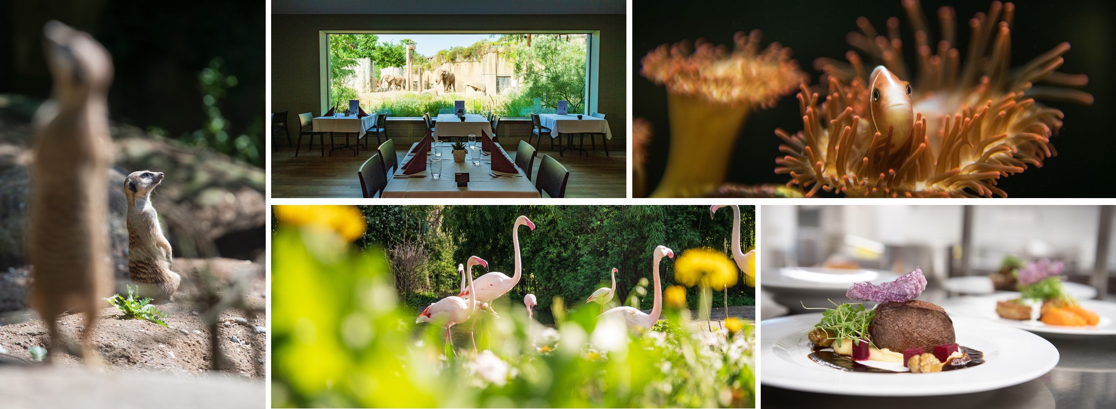 job advertisement image