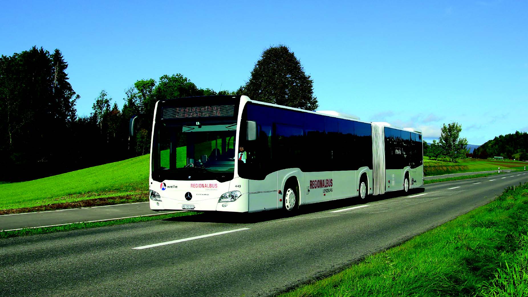 job advertisement image