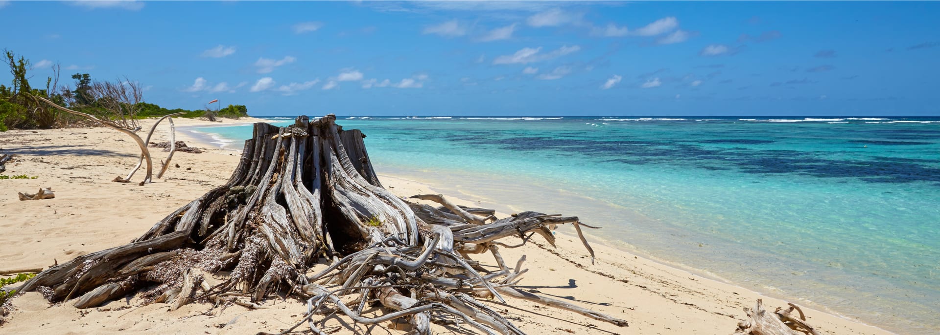 job advertisement image