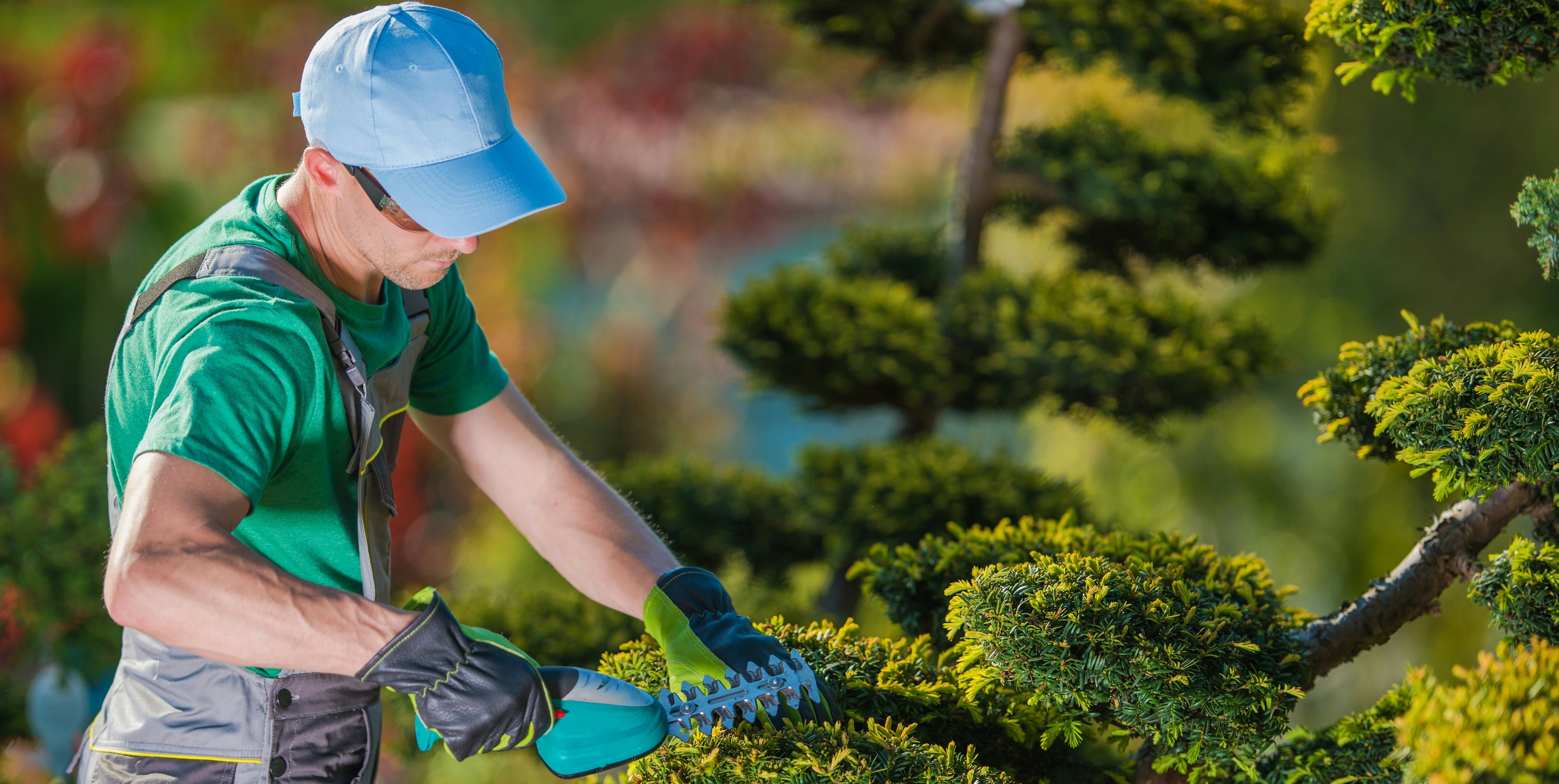 job advertisement image