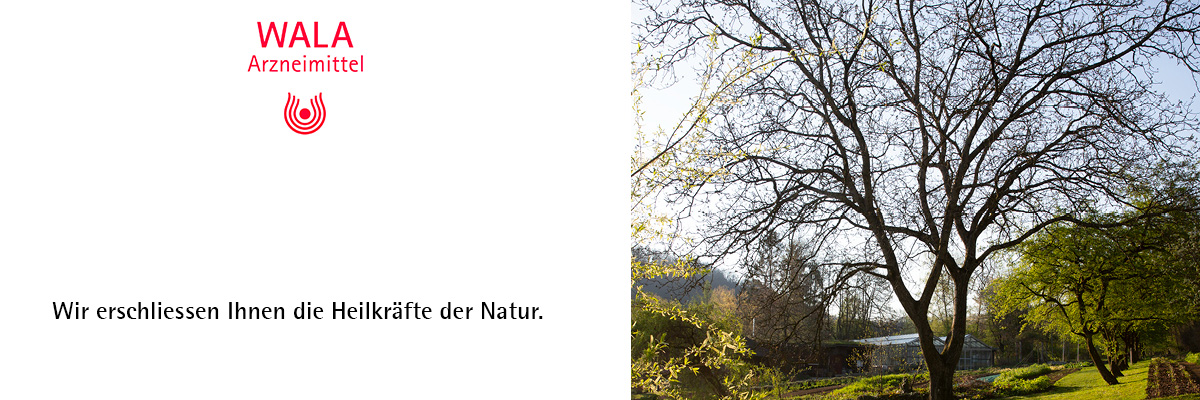 job advertisement image