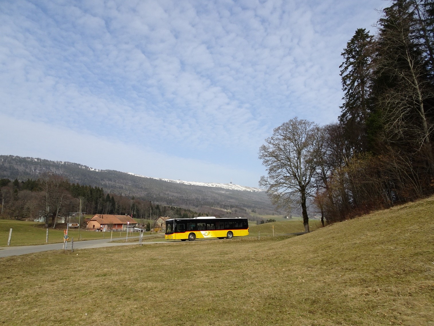job advertisement image