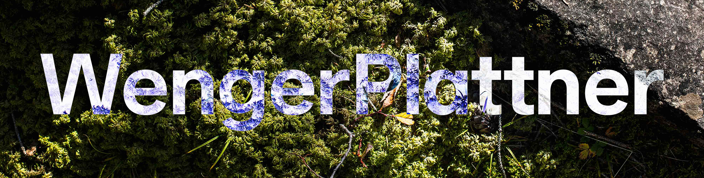 job advertisement image