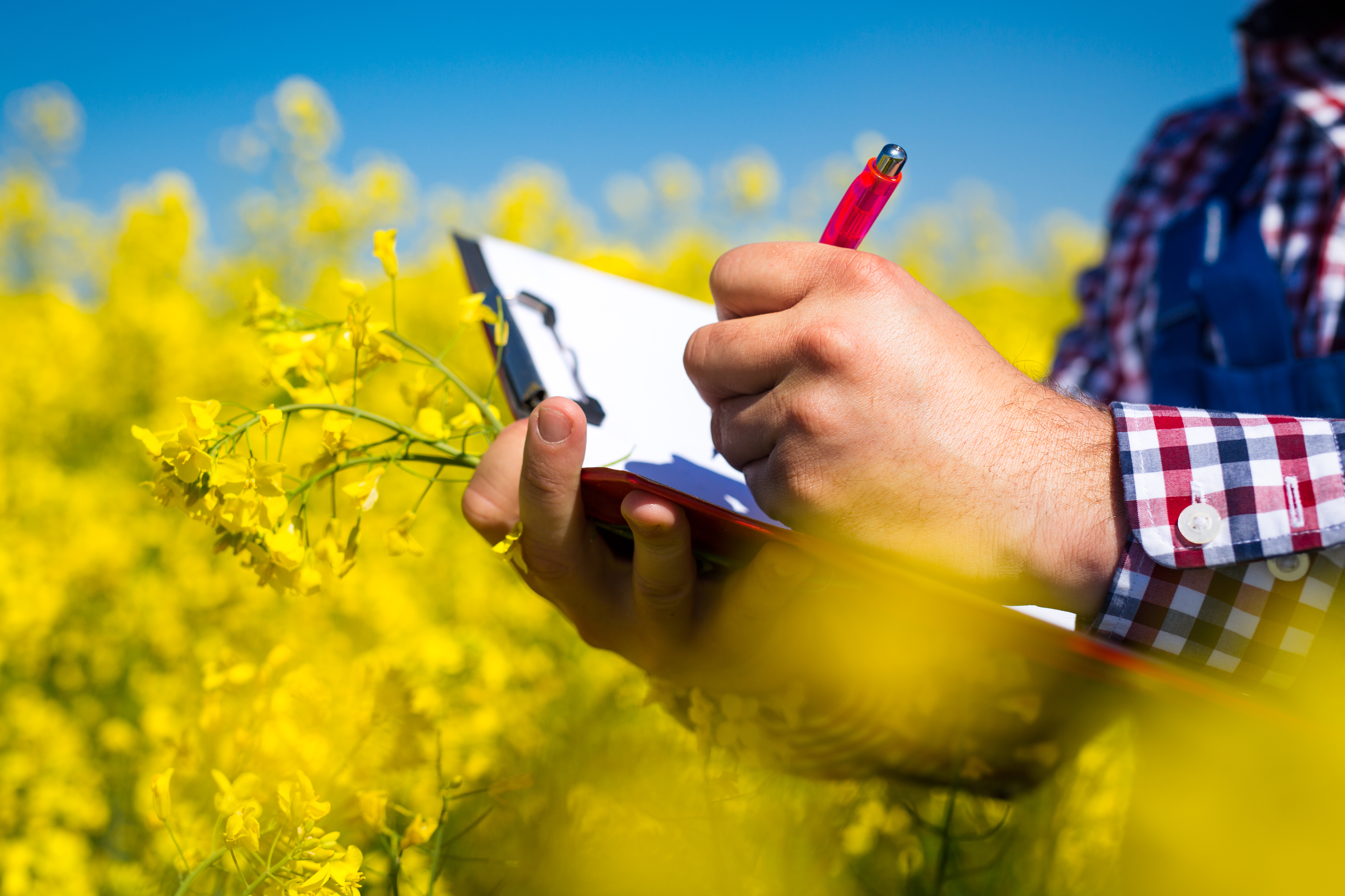 job advertisement image