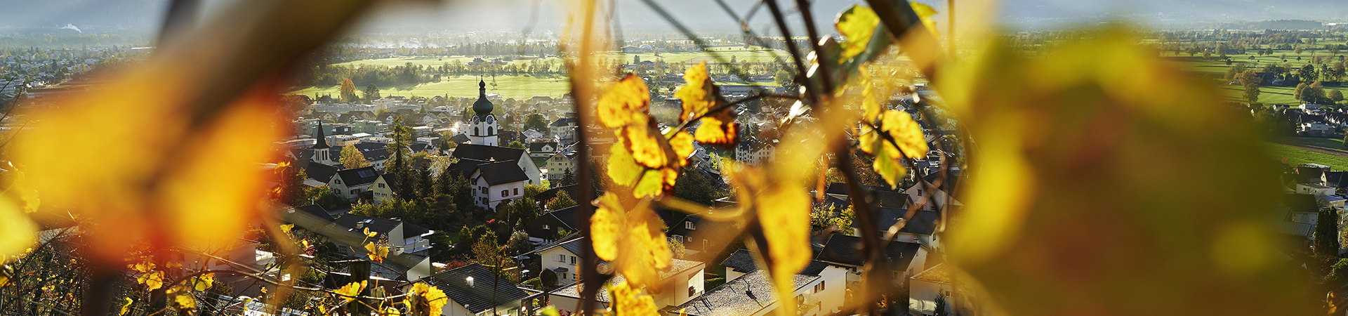 job advertisement image