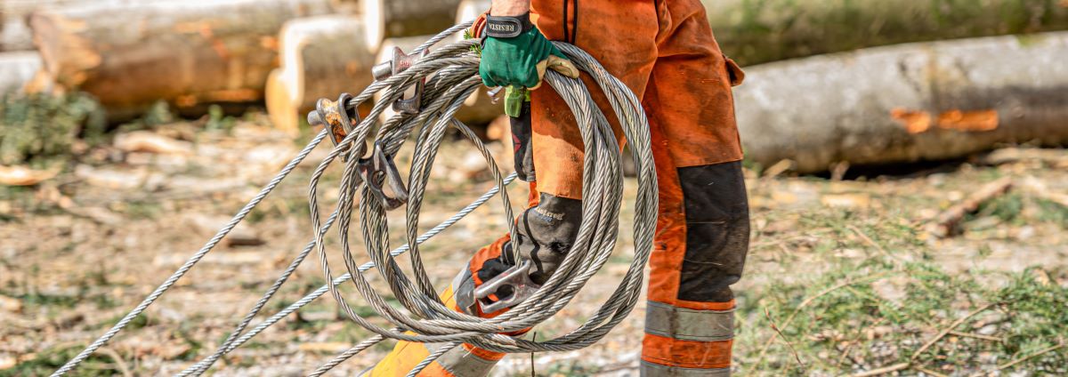 job advertisement image